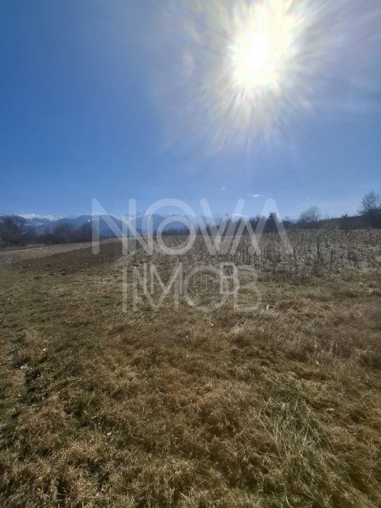 Teren extravilan de vanzare - Arpasul de Sus - Poză 2
