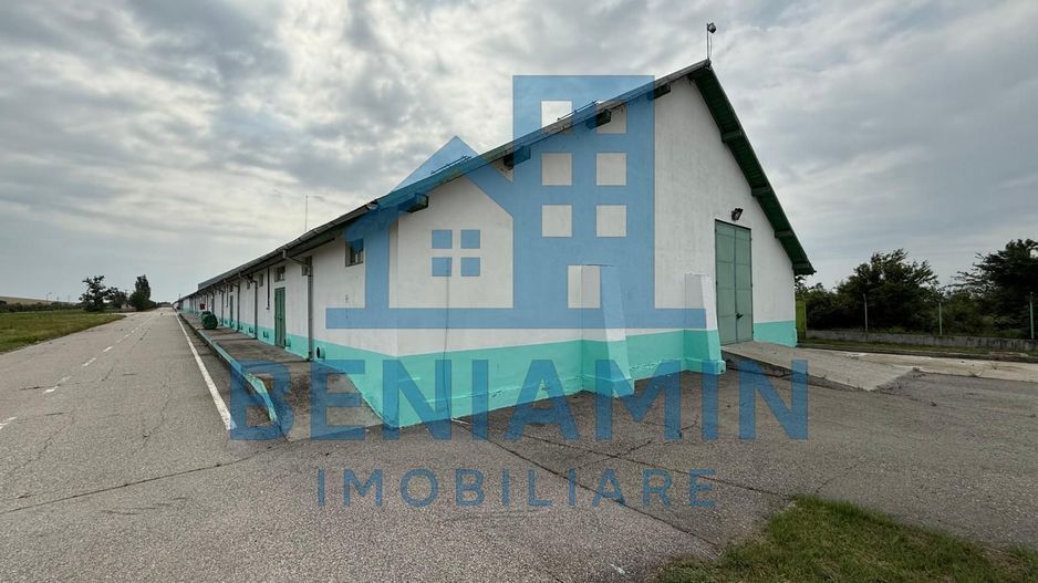 Depozit Cereale-3 Silozuri-Aut ISU-31.000mp-Perfect functional-Olt - Poză 8