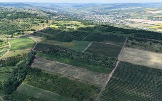 Teren de 6.2 Hectare cu Iaz propriu, lângă pădure – Vorniceni, Strășeni! - Poză 5