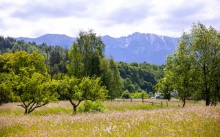 Teren intravilan plat in Bran, 1000 mp, vedere către Bucegi, utilitati - Poză 5