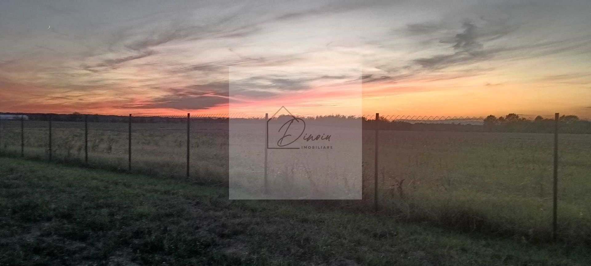 Teren intravilan 2078 mp langa padure - Piscu Ciolpani Snagov - Poză 3