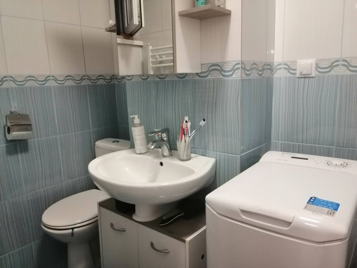 Apartment Sala Palatului/Cismigiu - Poză 7