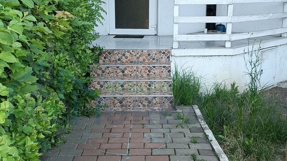 Spațiu Comercial Mic, Stradă Principală, Zona Nicolina, Aroneanu - Poză 1
