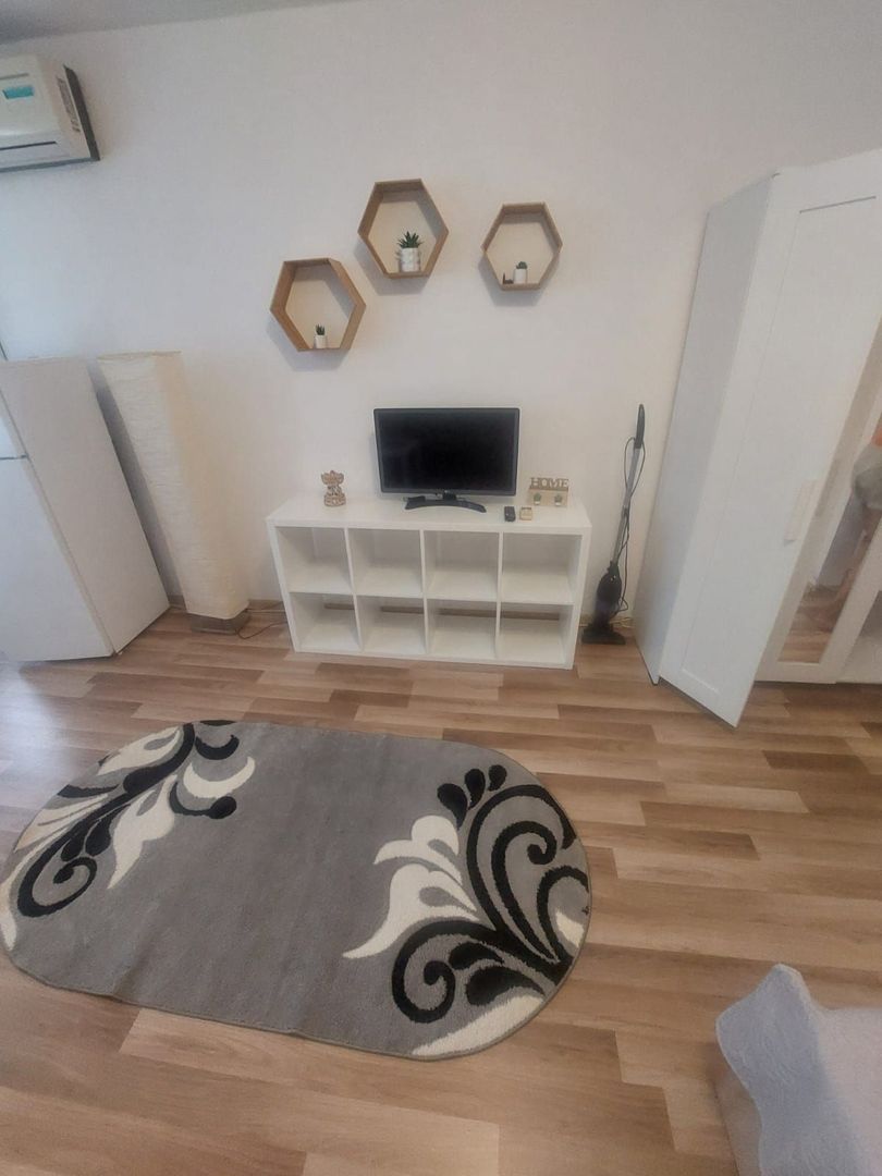 Garsoniera zona Costin Georgian - Lucretiu Patrascanu - Poză 4