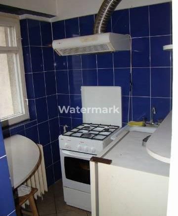 Nicolae Grigorescu - Poză 1