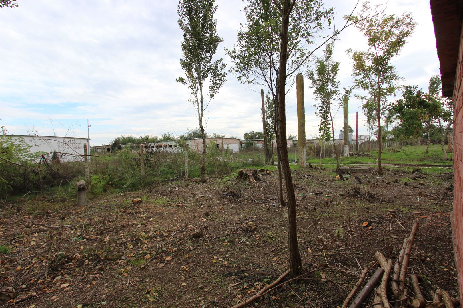 Vanzare hale Mosnita Noua-fosta Ferma 7 - Poză 45