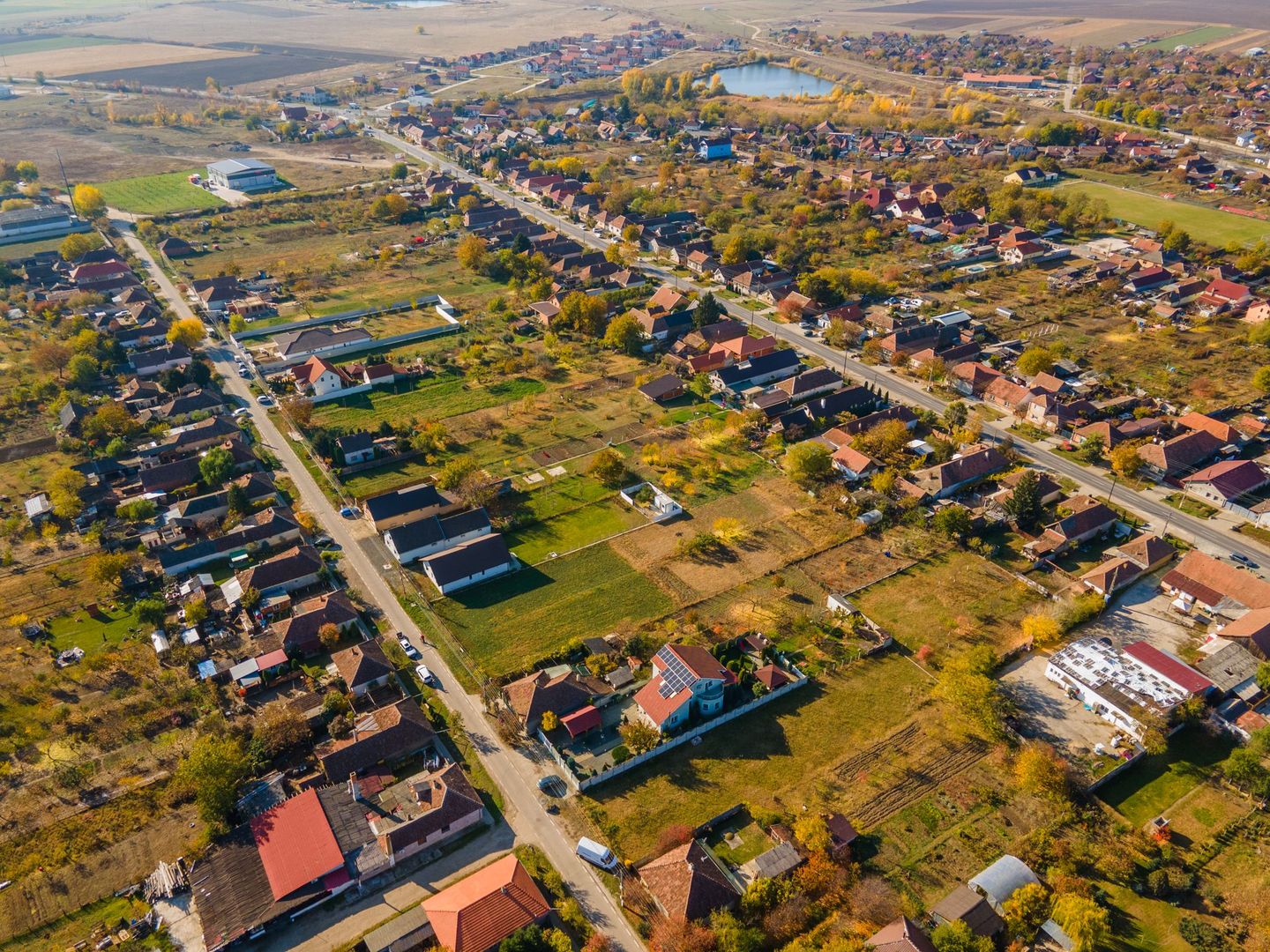 Teren de vânzare în Zimandul Nou, suprafață 2000 mp - Poză 6