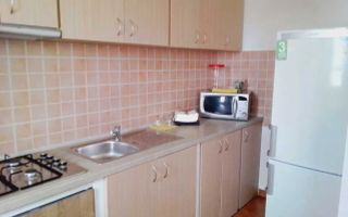 Apartament 1 Camera | 36MPU | Pet Friendly | Turnisor - Poză 4