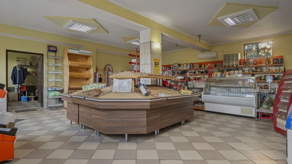 Comision 0% 2 case Vila + Spatiu Comercial + Curte Proprie - Poză 10