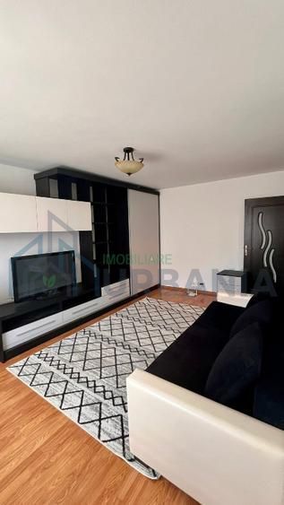 # Apartament cu o camera Pet friendly - Poză 5