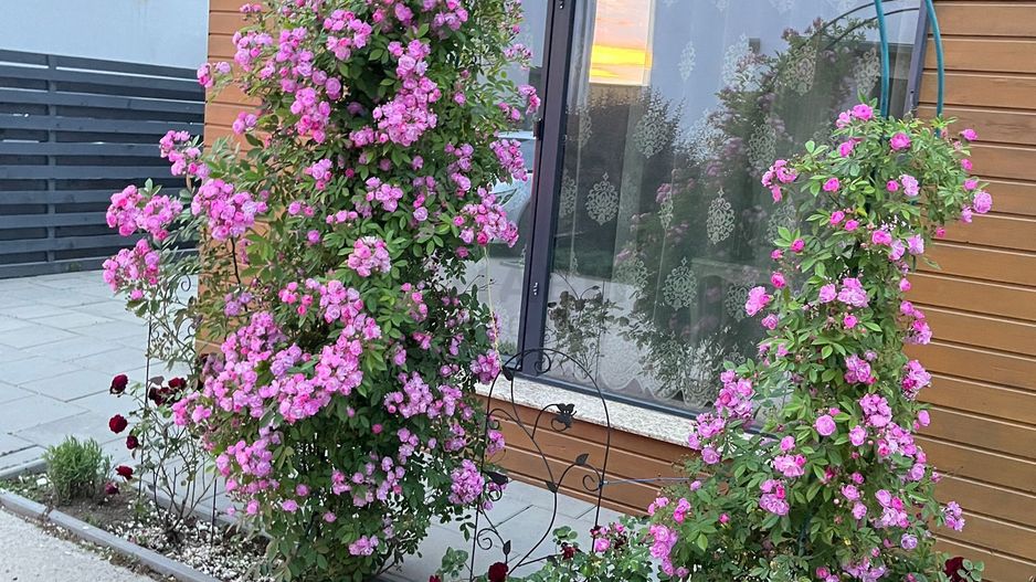 Vilă Individuală de Lux - Poză 3