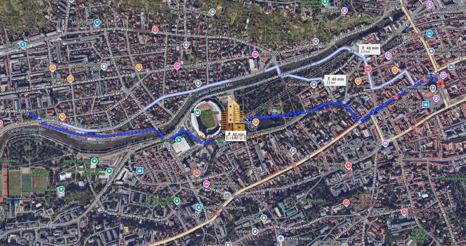 | Apartament cu 3 camere de vanzare | Cartierul Grigorescu | Etaj 4| Decomantat| - Poză 10