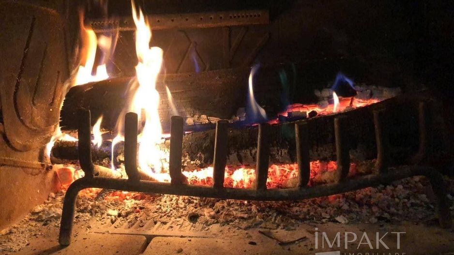 Cabana la Munte, ideală pentru vacanțe sau investiție! - Poză 18