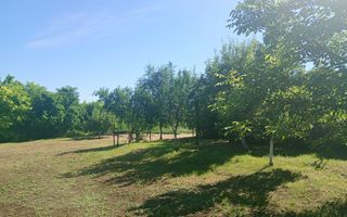 Teren intravilan în centrul localității Cârniceni - Poză 2