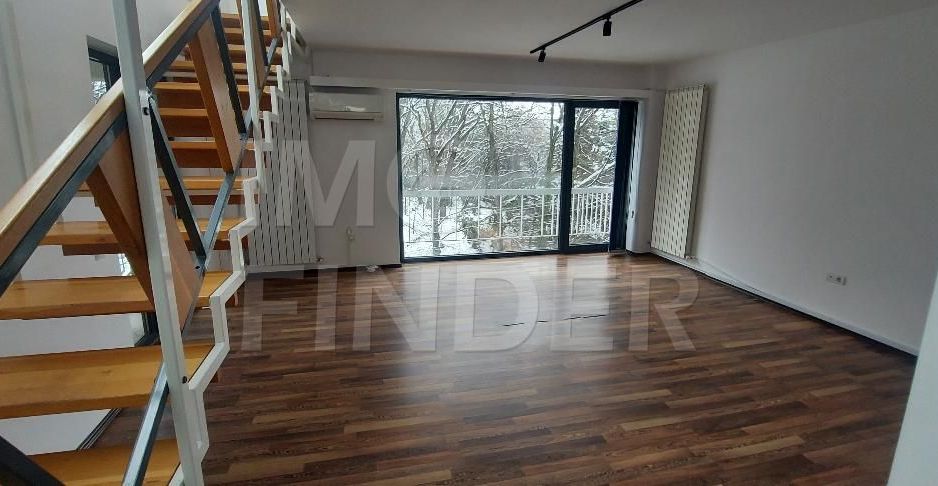 Inchiriere spatiu birouri zona Gradinii Botanice - Poză 16