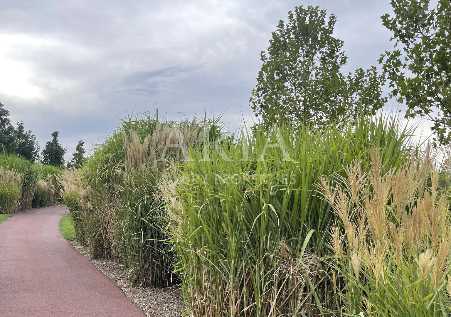 Dumbrava Vlasiei – Armonie între design, lumină și natură - Poză 12
