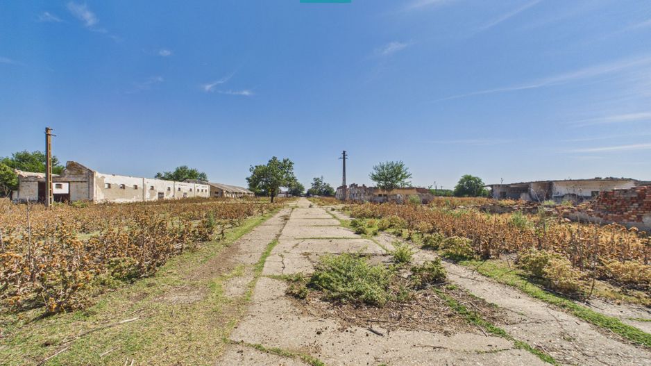 Teren intravilan 146.866 mp de vânzare | Jimbolia - Poză 15