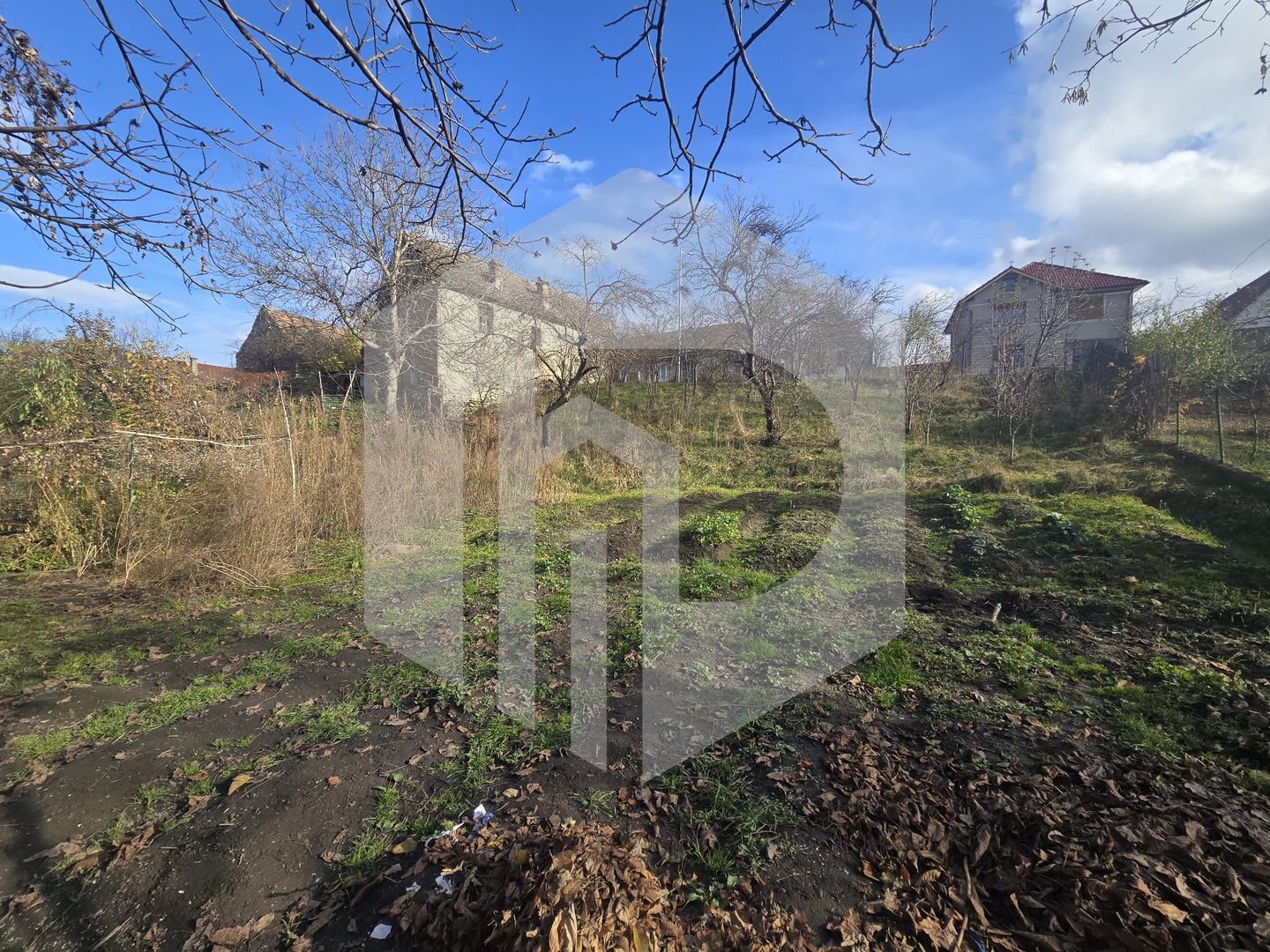 Casa 3 camere 1200 teren Avrig - Poză 5