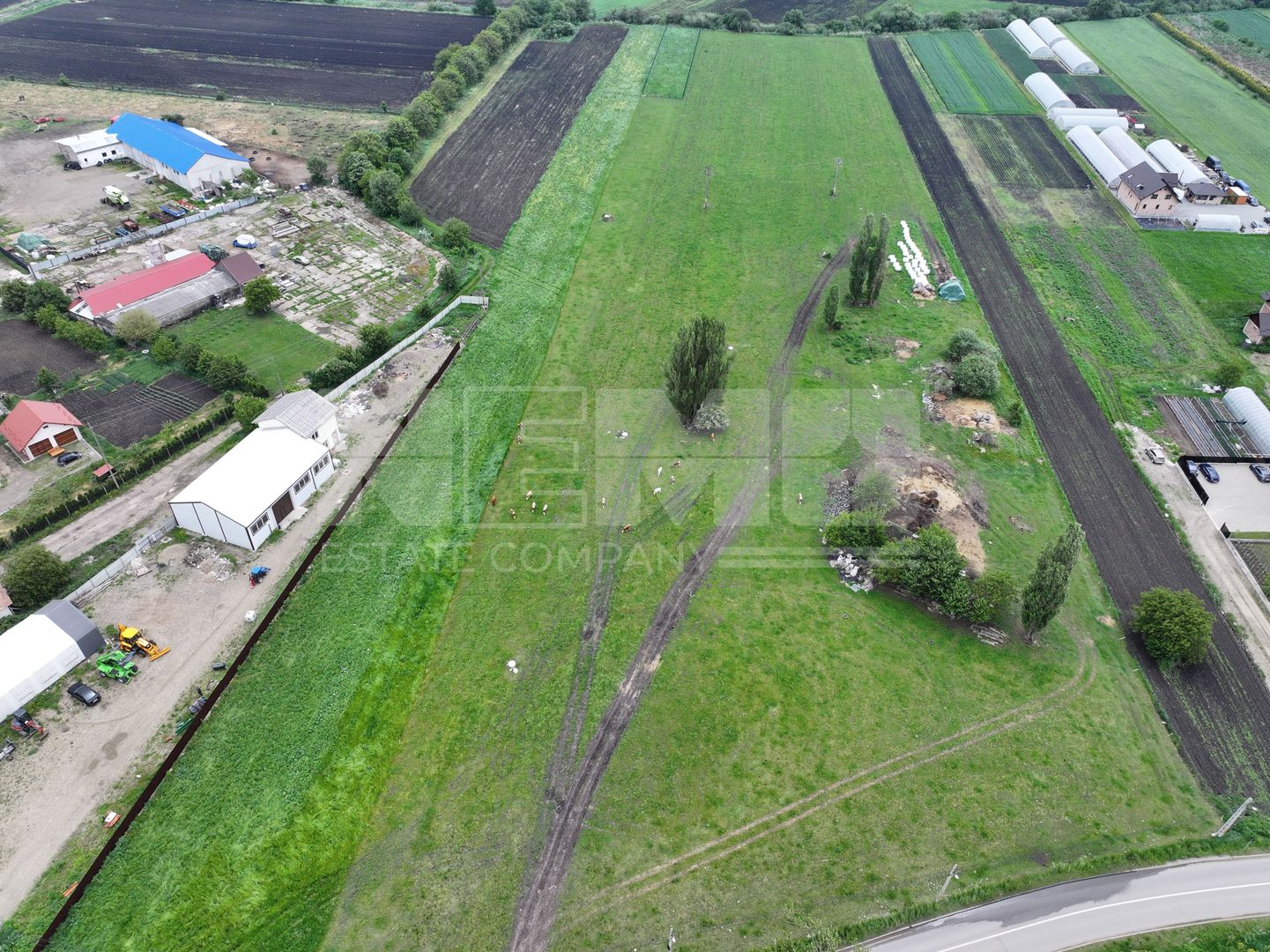 Teren 2648 mp | Strada Francei | Ideal hale sau investitie - Poză 12