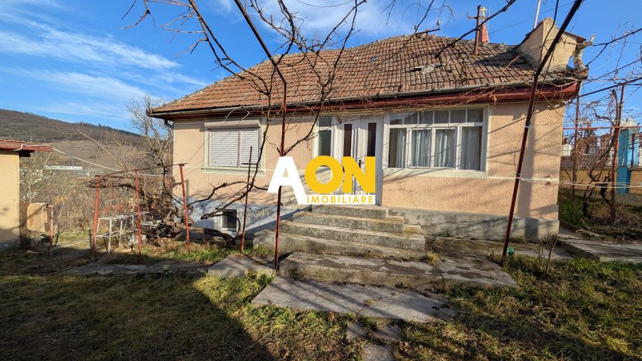 Casa cu 2 corpuri de cladire zona Hapria, 960mp Teren - Poză 12