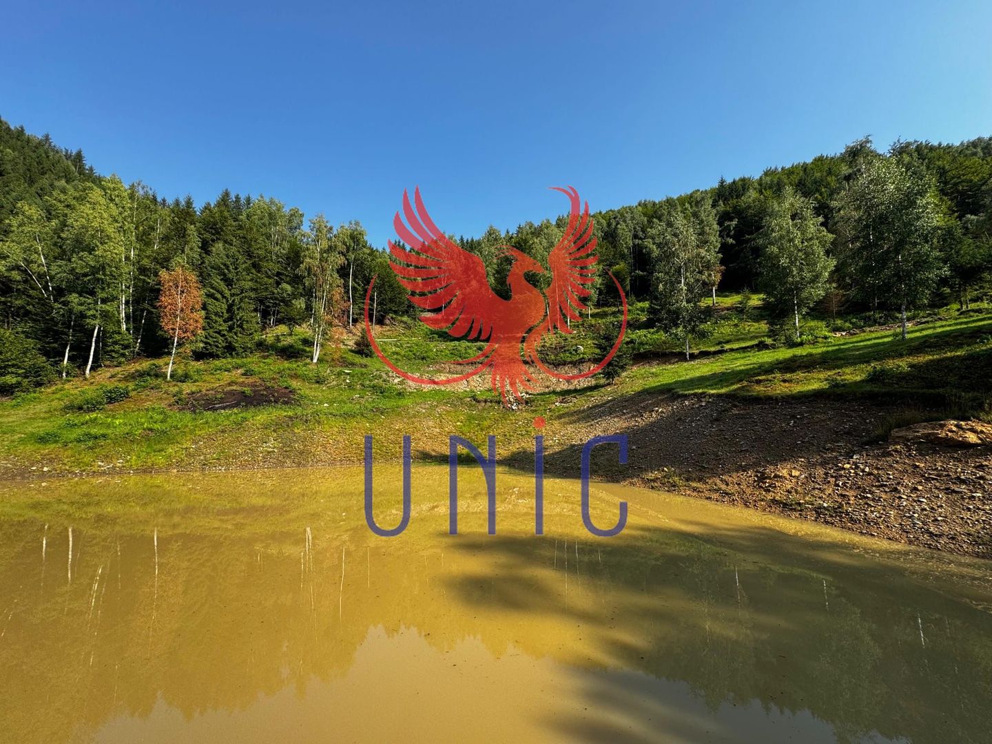 18000 mp de natura pura ,Lupeni, langa Straja - Poză 27