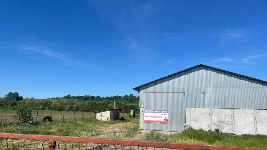 Hala de vanzare Costesti - Poză 2