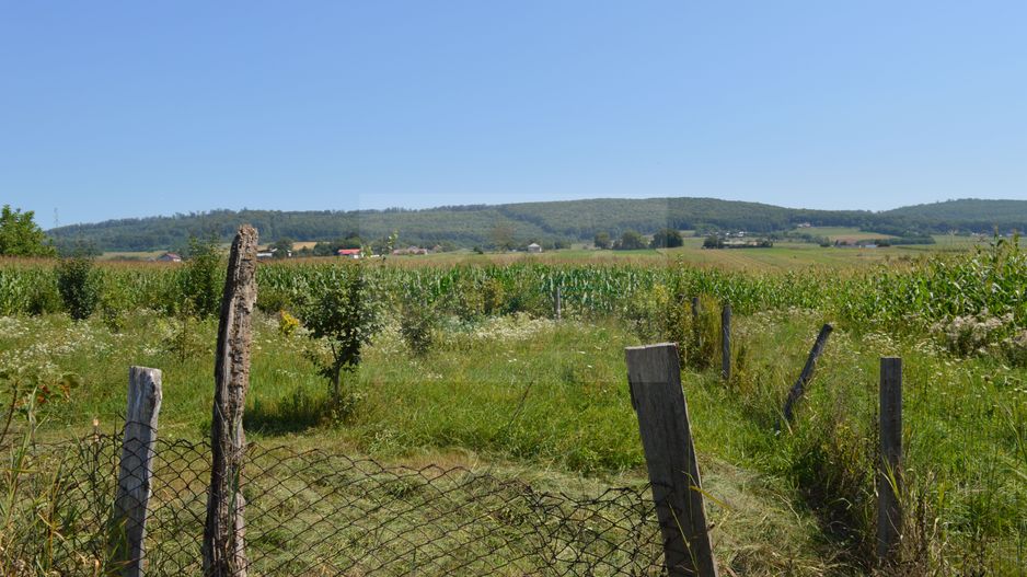 Casă 5 camere Siliștea Nouă/Suceava - Poză 8