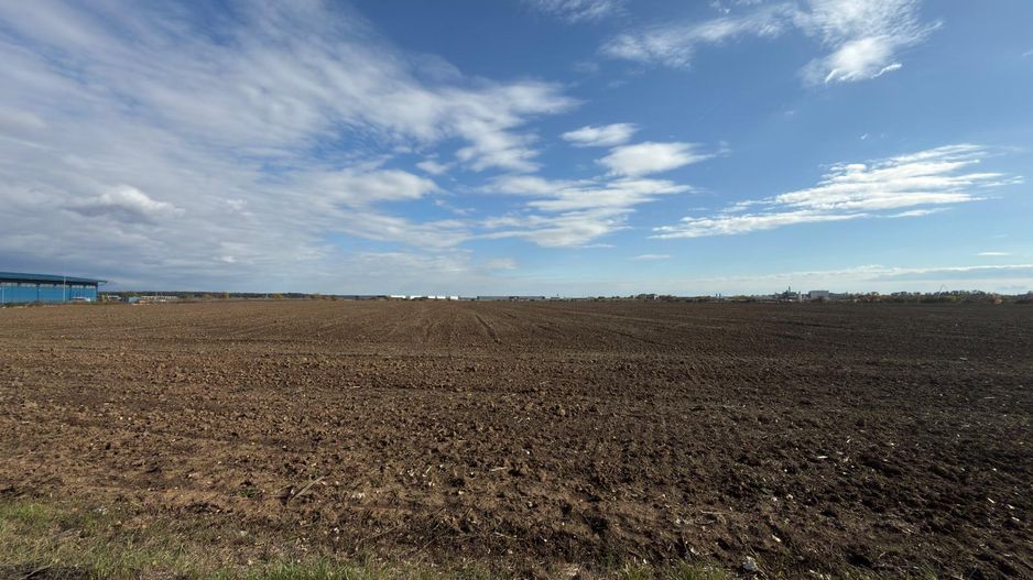 TEREN 26.500 mp -BUFTEA - INDUSTRIAL / COMERCIAL - Poză 4