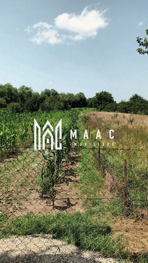 Vand teren intravilan | 1.638 mp | Bungard - Poză 3