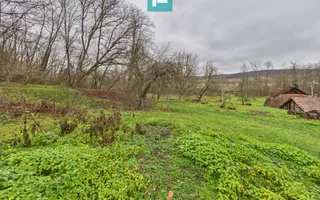 Casă cu teren de 24.679,73 mp, în Hălmagiu, Arad - Poză 16