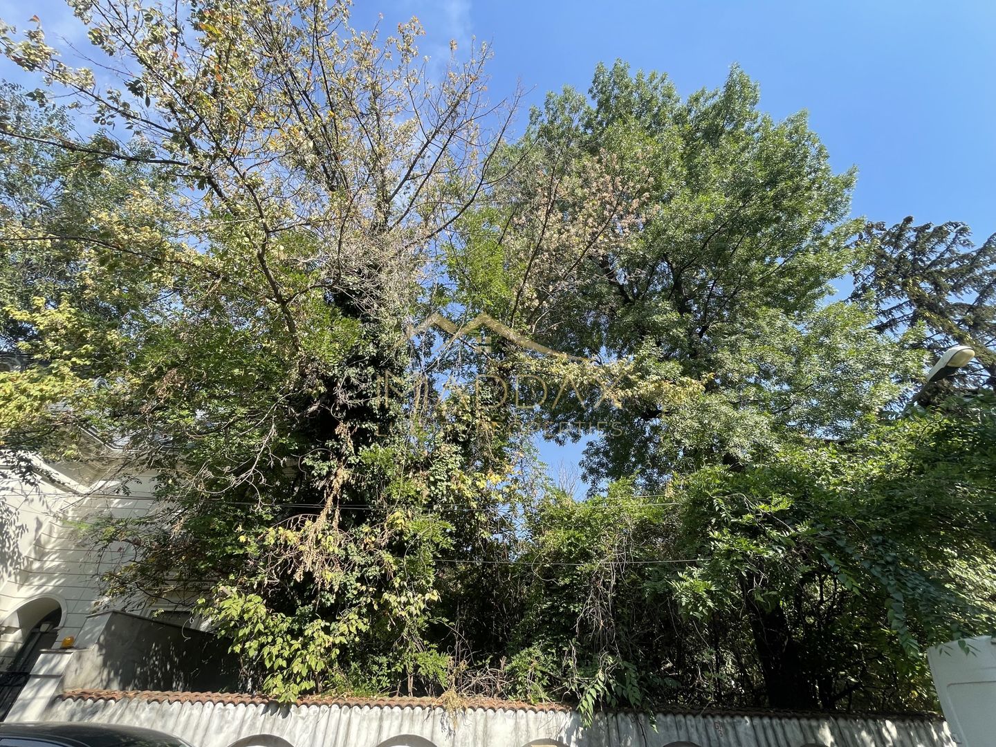 Teren Intravilan ***418mp*** posibilitate constructie S+P+2E+3ER // Floreasca - Poză 6