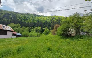 Teren Voineasa/Intravilan/5500 mp - Poză 4