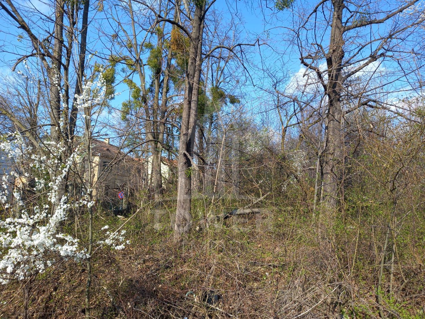 Teren Intravilan 5.147mp | Zonă rezidențială | B-dul Victoriei - Poză 1