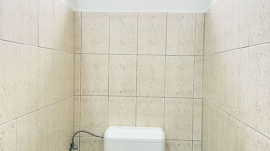 Hala de inchiriat Biharia | DN19 - Poză 9