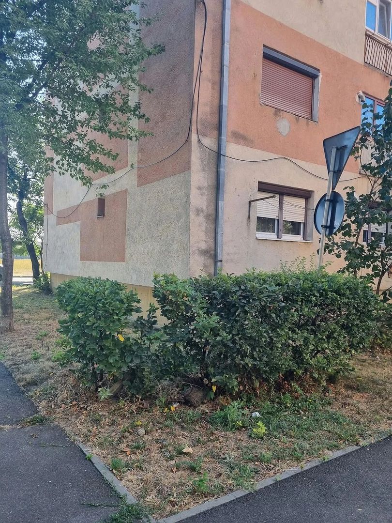 BRASADA   camerap 3 cam 78 mp. 2 băi in Carpați 2 - Poză 10