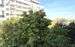 COMISION 0% - Apartament 2 camere 54mp luminos la 3 minute metrou Parc Bazilescu - Poză 6