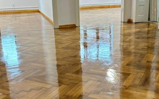 Ag BRASADAS vinde vila 8 camere Parcul Carol - Poză 4