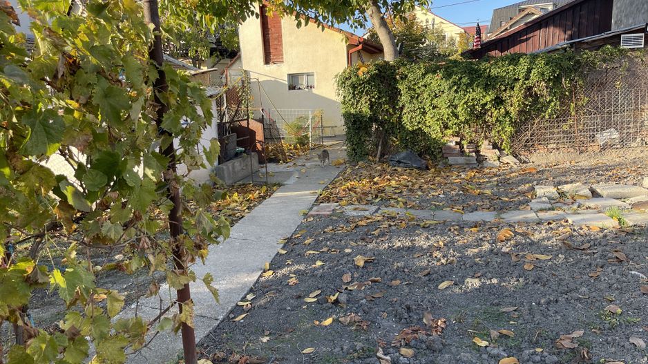 Teren ideal pentru constructie noua-800 mp cu front 22 ml - Poză 6