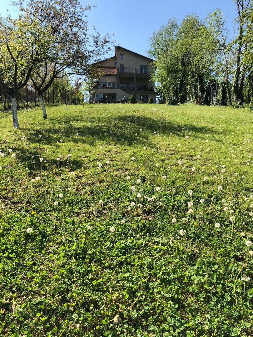 Vilă spectaculoasă cu vedere la lac Balotesti - laguna Verde - Poză 30
