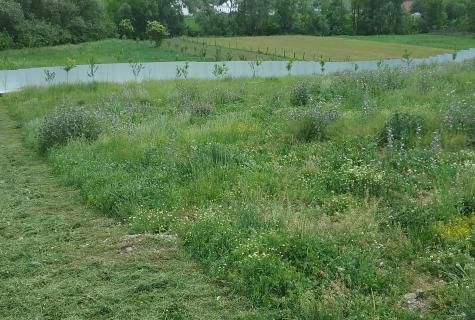 spațiu industrial Grumazesti judet Neamt - Poză 4