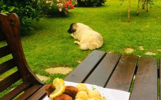 Vila individuala /proiect deosebit - Poză 23