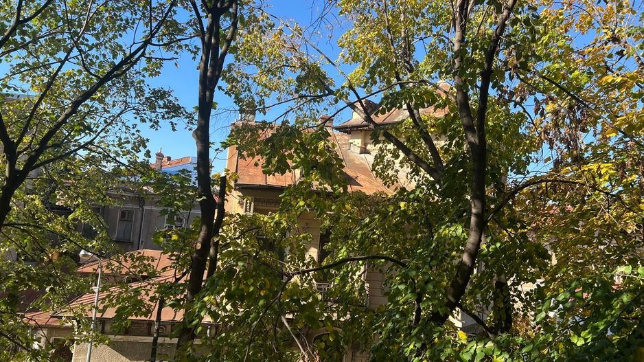 Apartament superb, doua camere, Mosilor - Poză 13