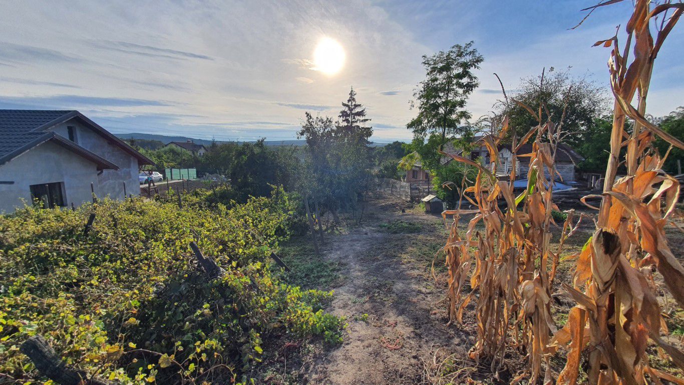 Teren intravilan 800 mp, Mărășeni - Vaslui; - Poză 3