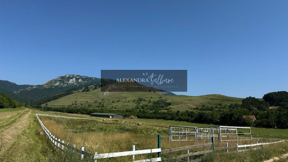 Teren de vanzare – Rimetea, Alba | 9000 mp - Poză 3