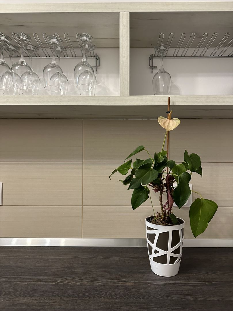 Oferta inchiriata - Apartament 3 camere - de inchiriat - Dacia - Poză 6