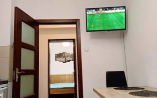 Garsoniera in cartier de case, la curte, pet friendly, Centrul istoric - Poză 5