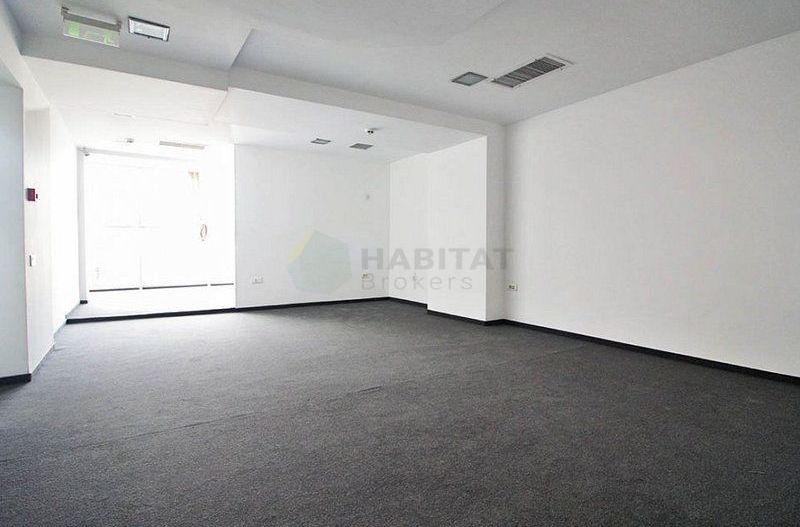 Cladire birouri inchiriata complet, zona Basarab - Titulescu - Poză 6