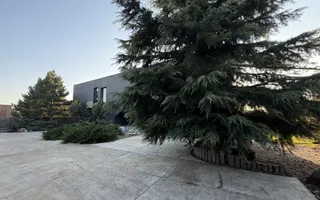 Vila Exclusivista *2223mp teren* / Piscina proprie / 5 garaje / Otopeni - Poză 11