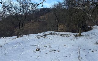 Teren de vânzare, 7750 mp I Orientare sudică I Caineni - Poză 2