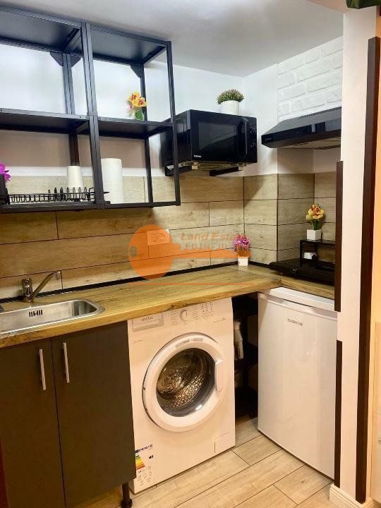 Carsoniera cocheta Cismigiu - Poză 3